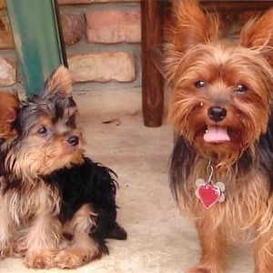 Meet your Posher, Gayla